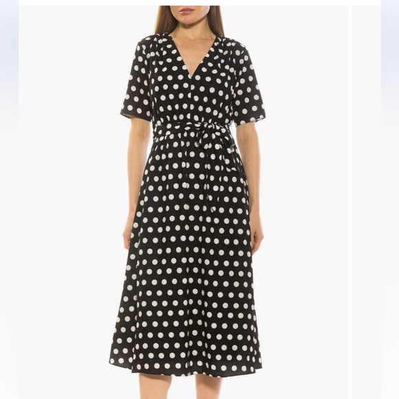 Alexia Admor Dresses & Skirts - Alexia Admor Larissa Fit and Flare Polka Dot V-Neck Dress with Pockets - EUC